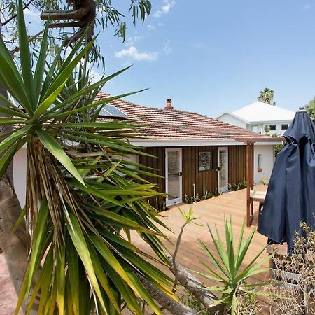 Dingo At White Gum Lodge Fremantle Bagian luar foto
